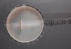 MM-150 Maple Mountain Openback Banjo, Recent