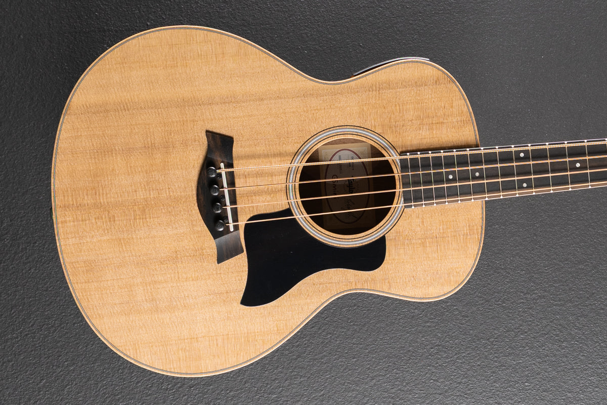 Used GS Mini-E Bass '26