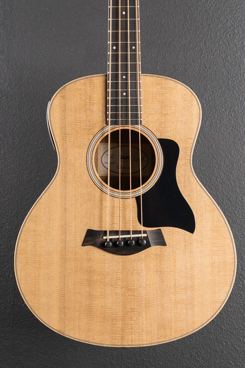 Used GS Mini-E Bass '26