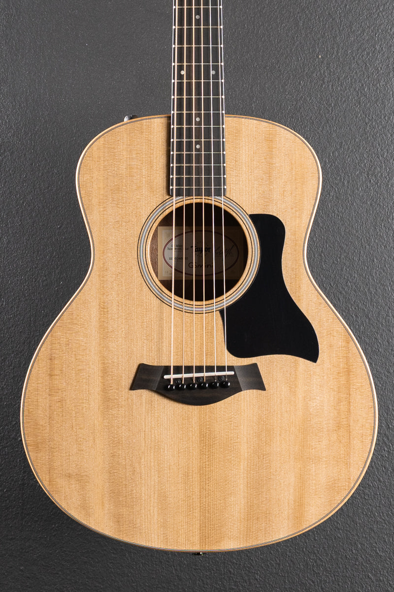 Used GS Mini-E Rosewood Plus '26