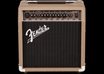 Acoustasonic 15