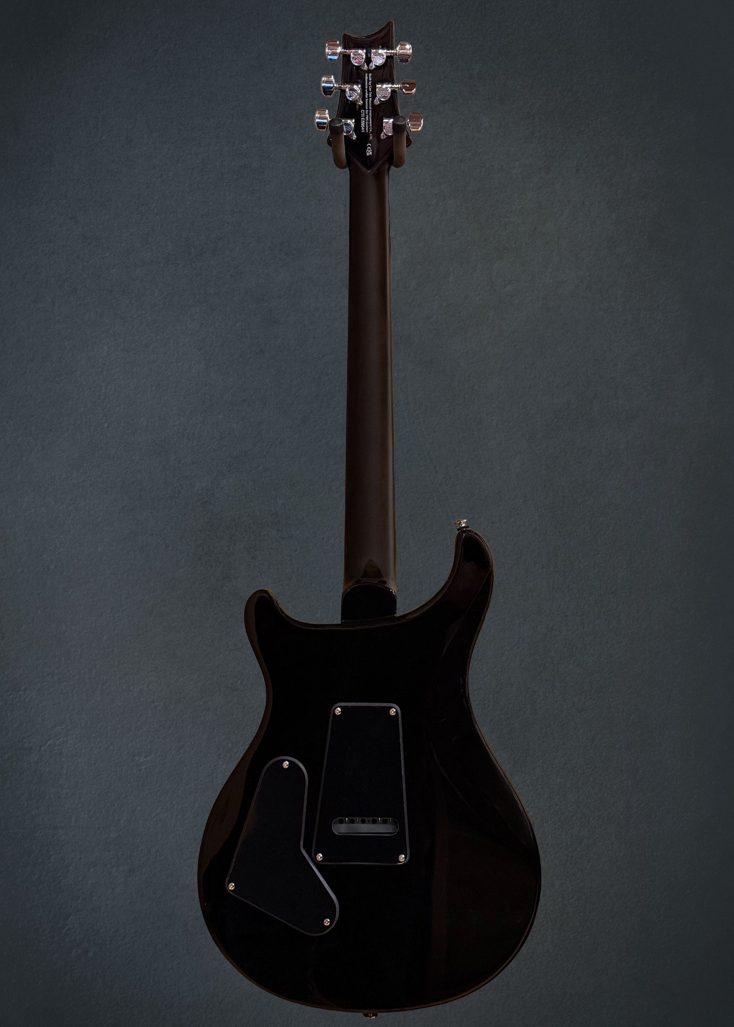 SE Custom 24, '22