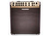 Loudbox Performer